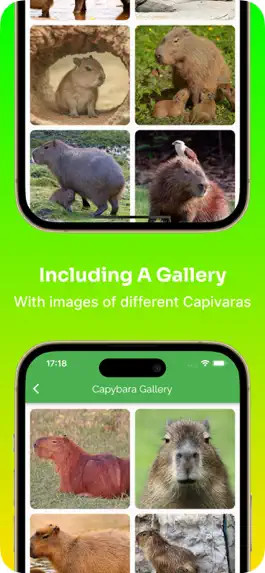 Game screenshot Capybara: Care Guide & Fun hack