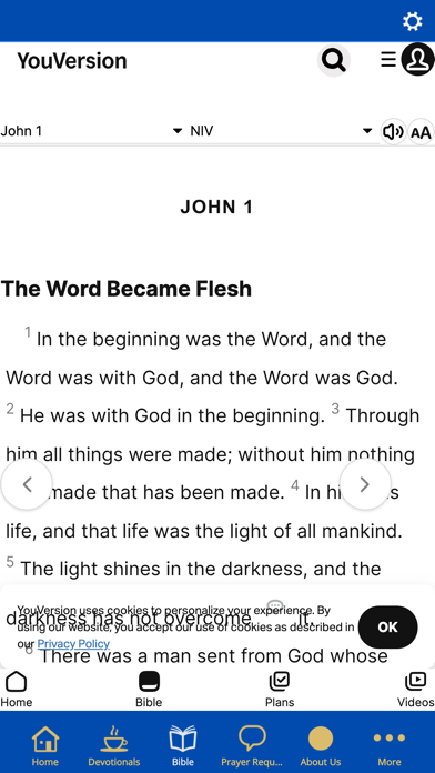 Screenshot #2 pour Sons of the King Daily Devo