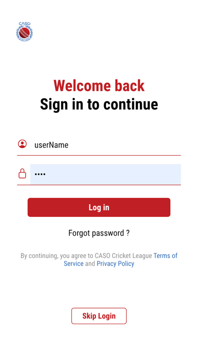 Caso Cricket League Screenshot