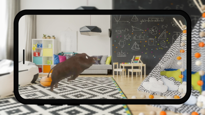 Zoo4D Mammals Screenshot