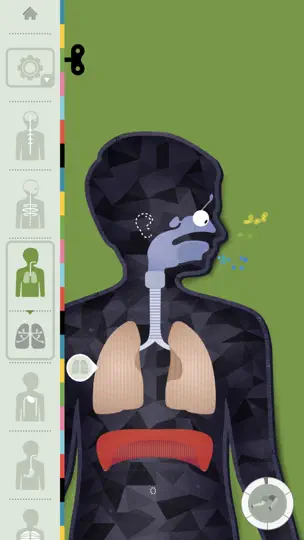 Capture d'écran de Le Corps Humain - Tinybop sur iPhone 6