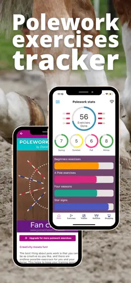 Game screenshot Polework Horse Riding Training apk