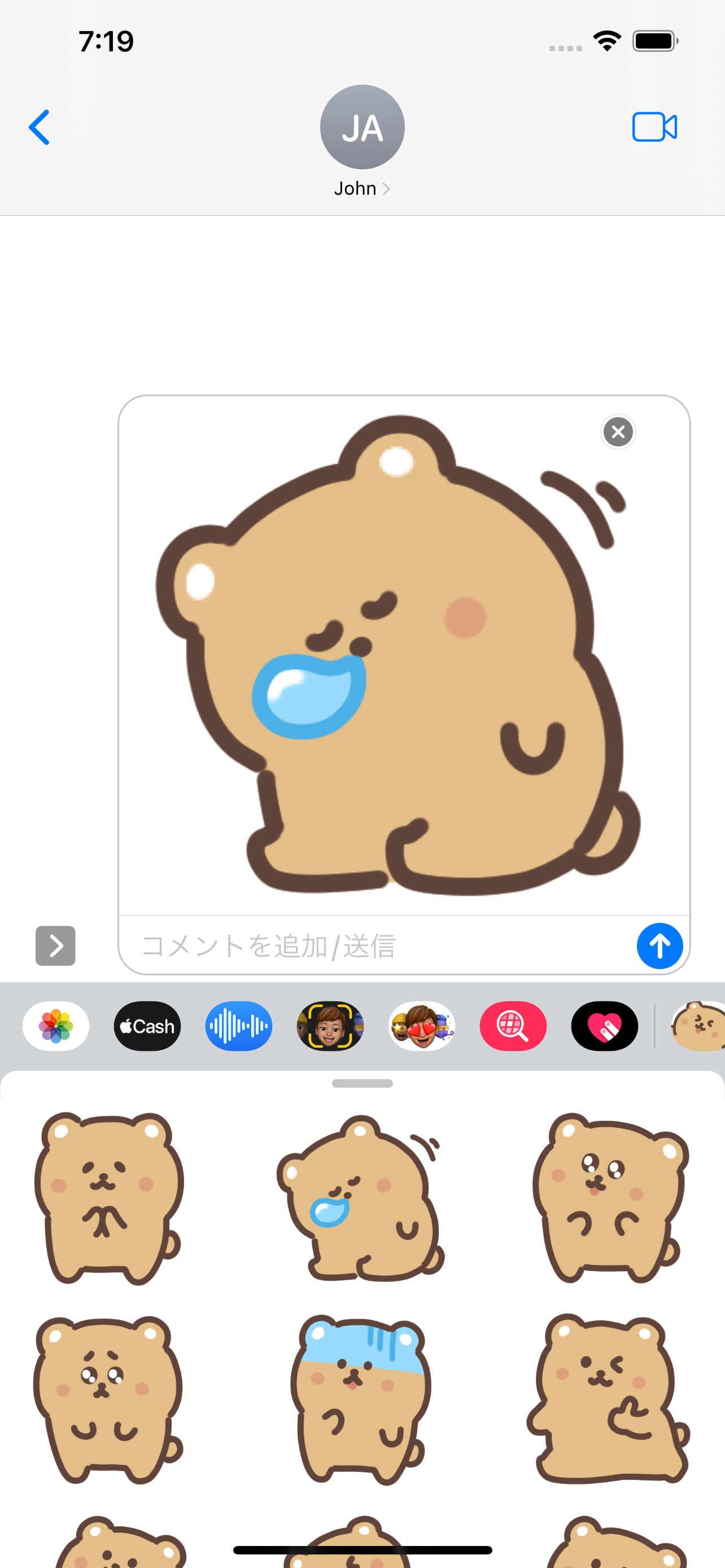 cutee bear sticker