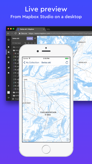 Mapbox Studio Preview Screenshot