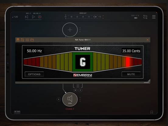 NA Tuner iPad screenshot 3 - Music app