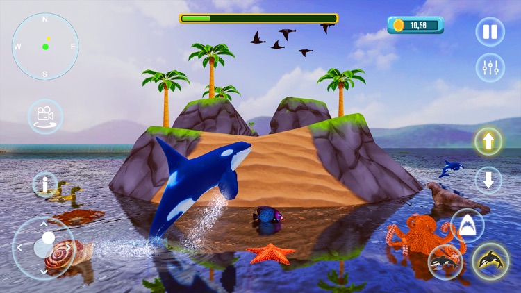 Orca Killer Whale Simulator