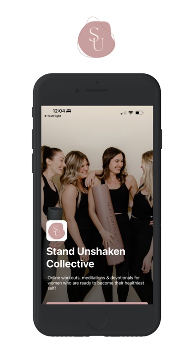 Stand Unshaken Collective Screenshot