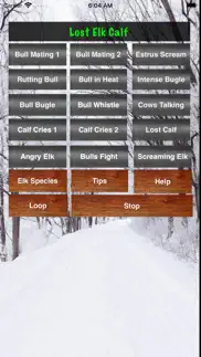 elk bull & cow hunting calls iphone screenshot 4