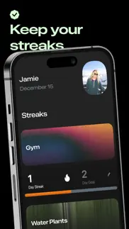 winstreak - better life widget iphone screenshot 3