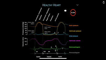 TheHeartPhysiologyApp Screenshot