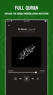 quran audio mp3 - 114 surah iphone screenshot 2