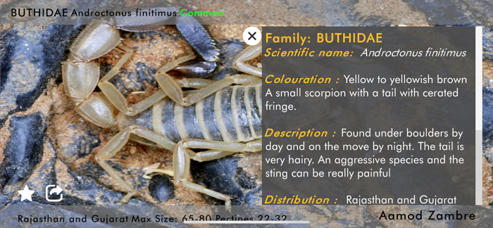 Indian Scorpions eGuide