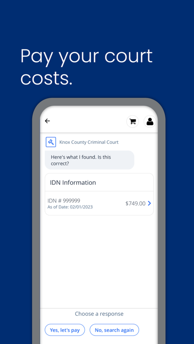 KnoxCourtPay Screenshot