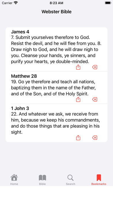 Webster Bible Screenshot