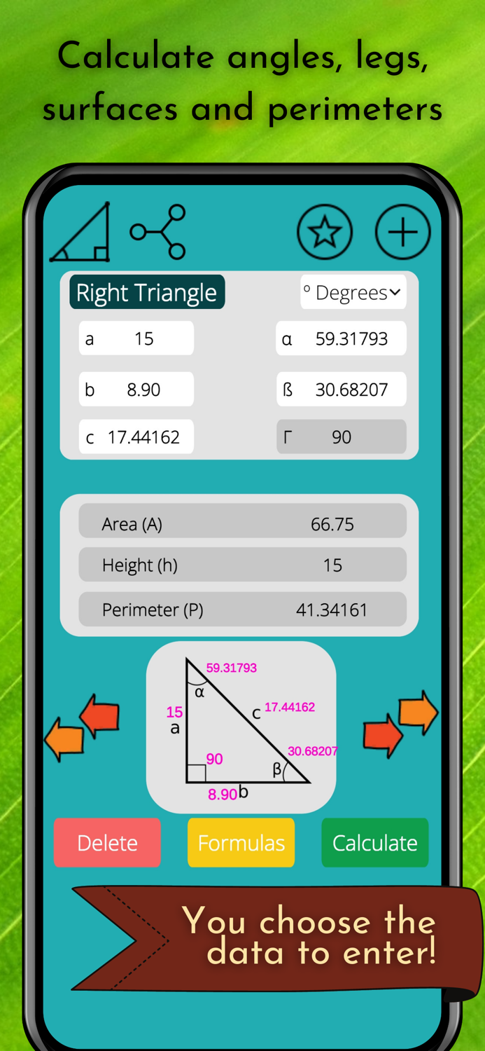 Geometry Calculator Solver