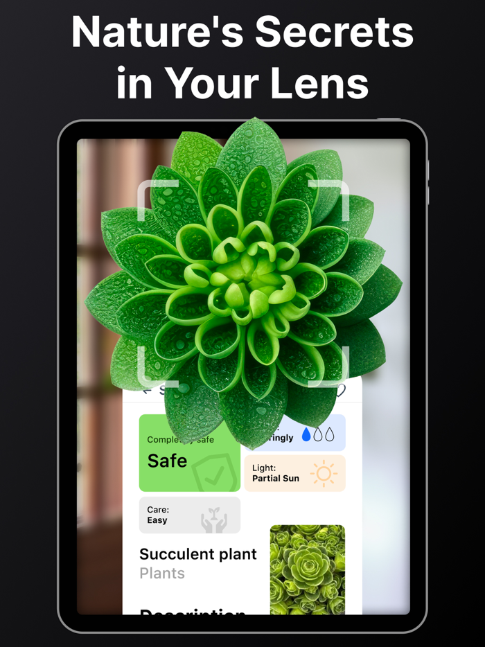 All Identifier - AI Picture ID