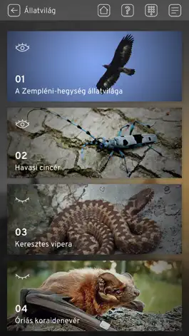 Game screenshot Abaúj-Zemplén castles & walks hack