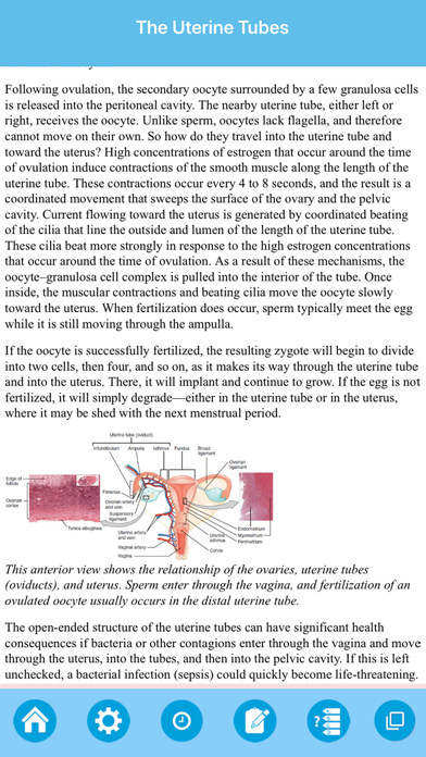 The Female Reproductive System Screenshot