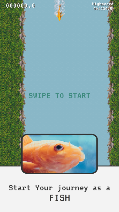Floaty Fish Game Screenshot