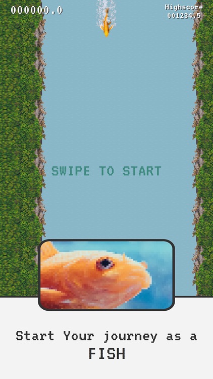 Floaty Fish Game