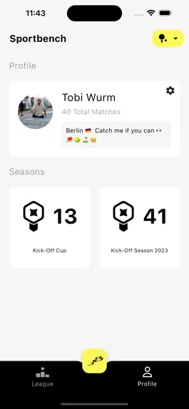 Game screenshot Sportbench ball sports leagues apk