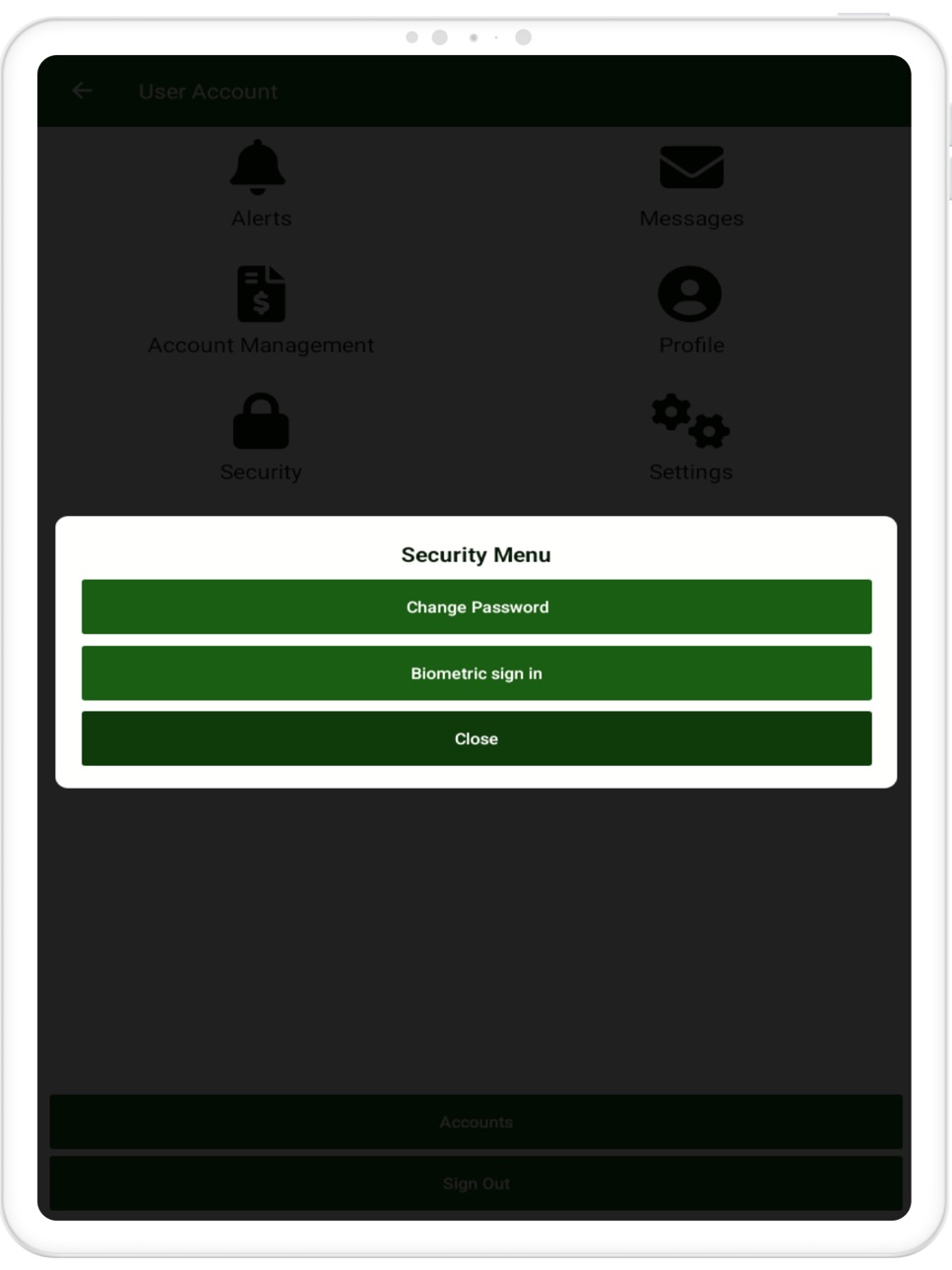 iPad screenshot