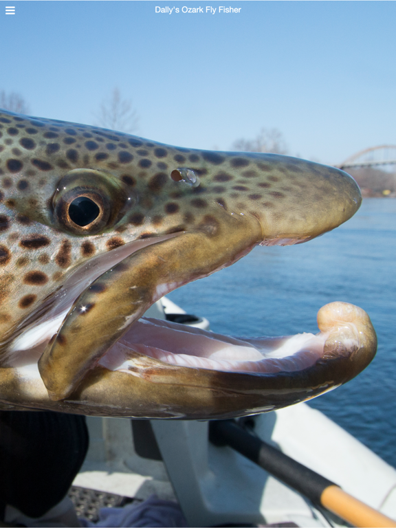 Screenshot #5 pour Dally's White River Fly Fisher