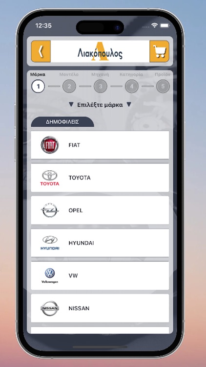 Liakopoulos AEBE B2B