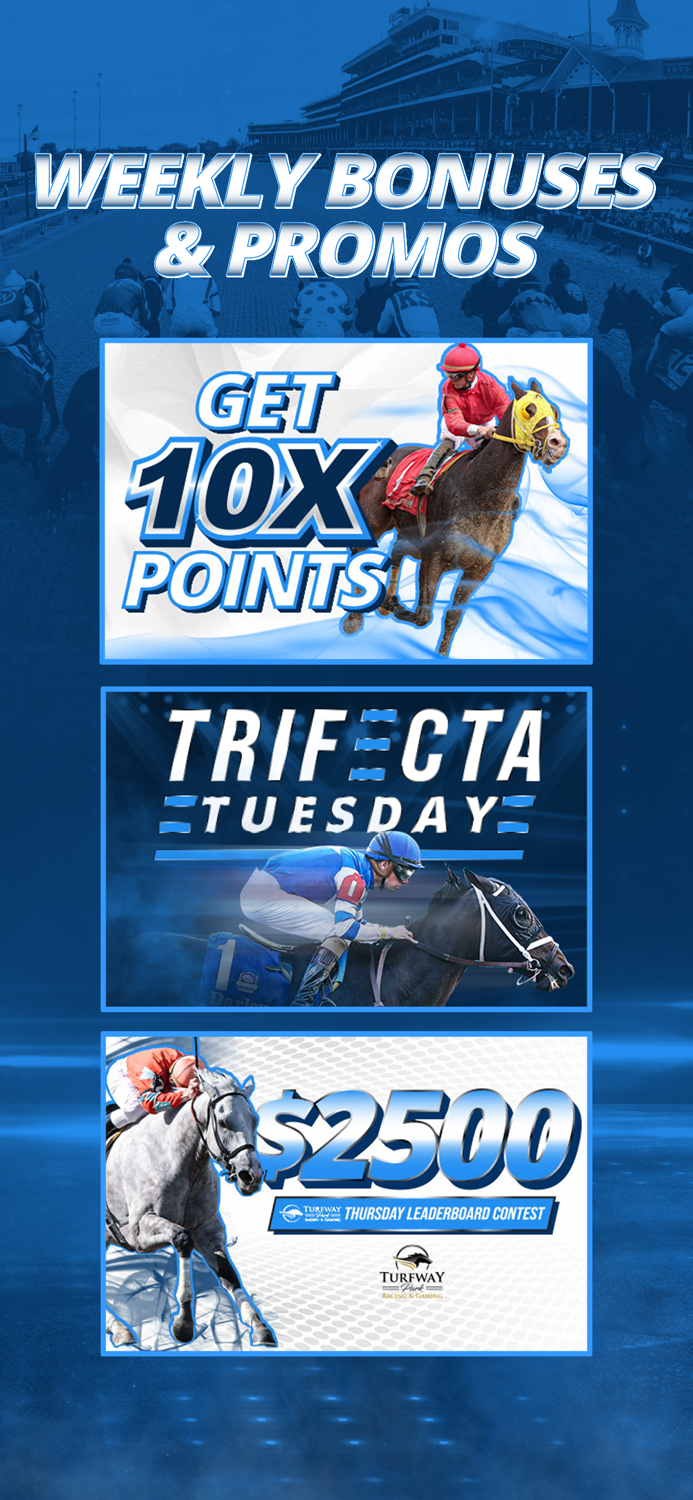 TwinSpires Horse Race Betting