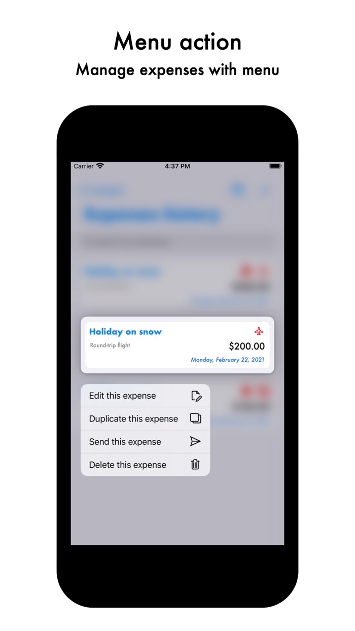 Micro Budget Manager