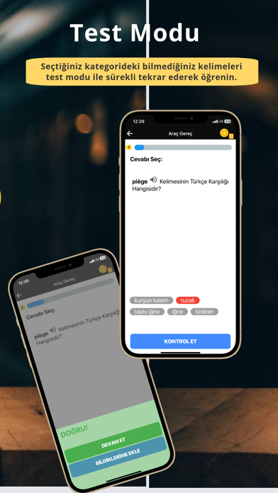 Playword YDS YDT Fransızca Screenshot