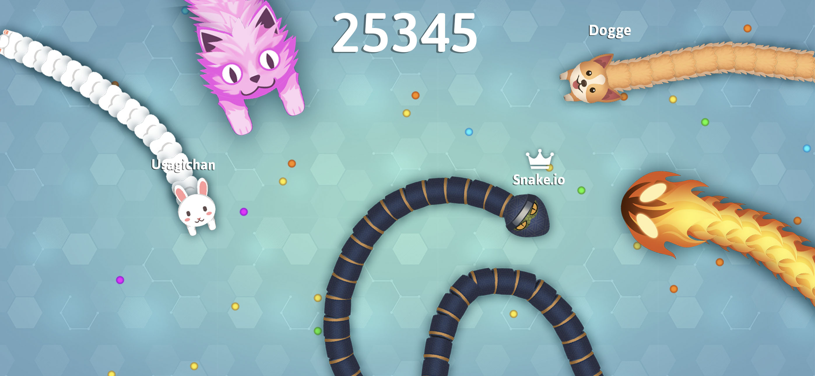 Snake.io - Fun Online Snake