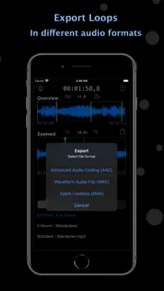 audio looper+ iphone screenshot 4