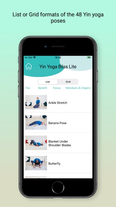 Yin Yoga Bliss Lite Screenshot