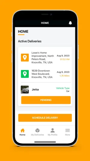 Quicktime Delivery screenshot 4