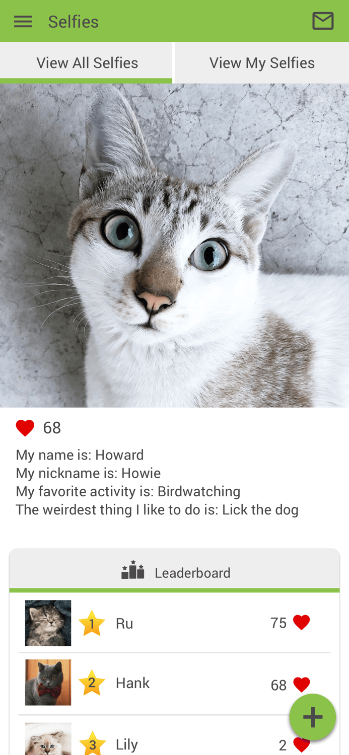 Feline Vet Med Center