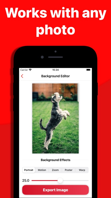 Photo Blur: Background Effect