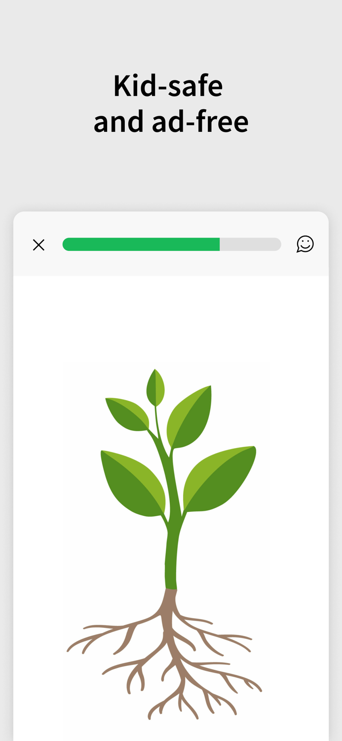 ANTON Kindergarten - Grade 8