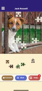 Jack Russell Puzzle screenshot #4 for iPhone