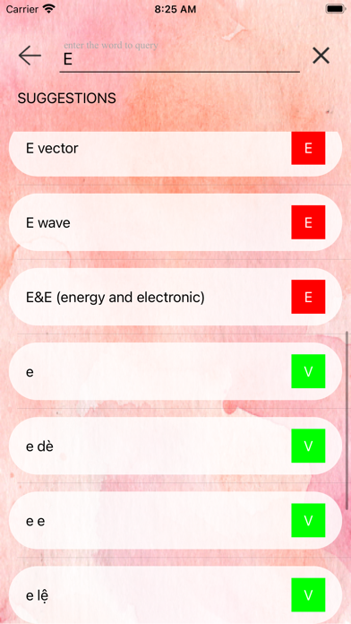 EnglishVietnamese-Dictionary Screenshot