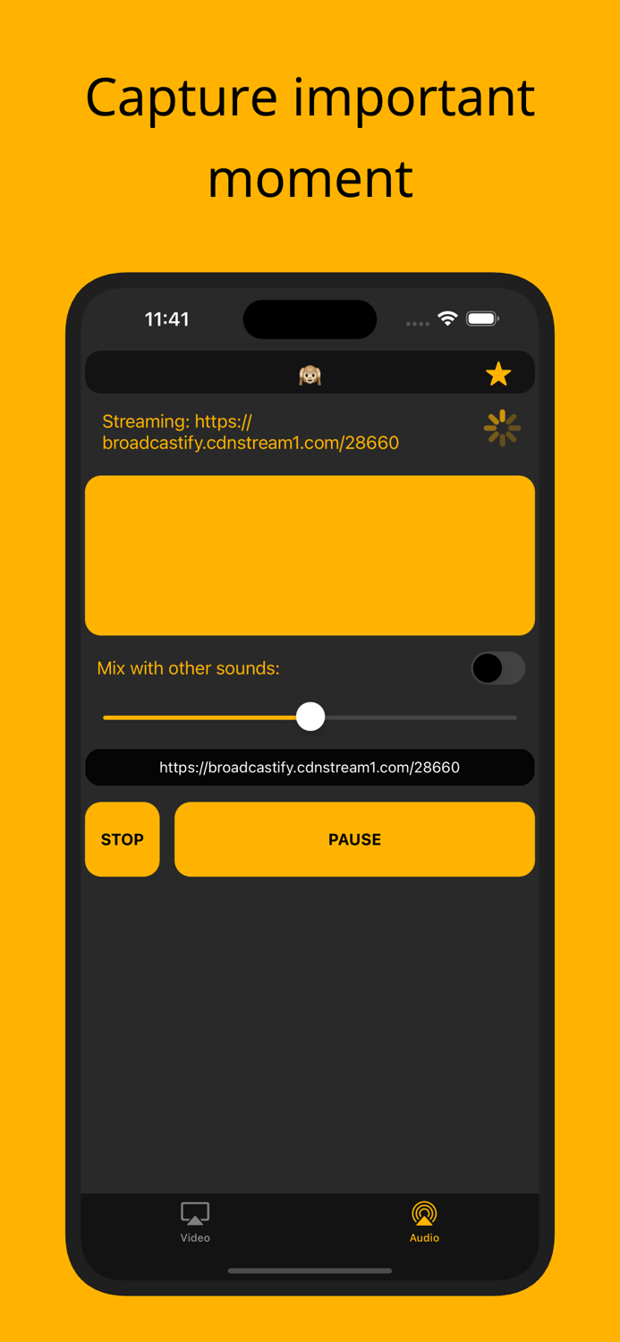 RIC IP Camera Viewer Aрр