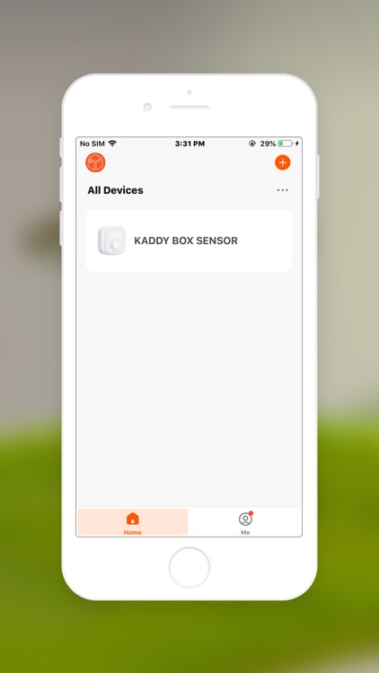 Kaddy Box