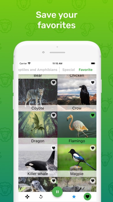 Guess Animal Sounds Screenshot