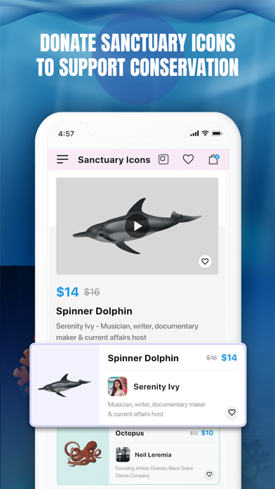 Moana Pasifika Screenshot