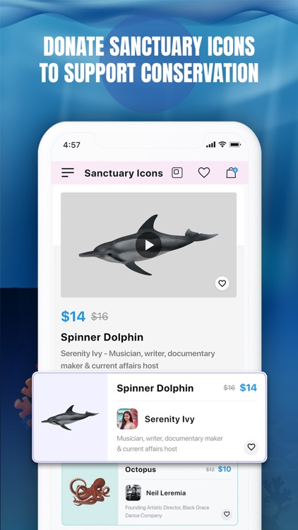 Moana Pasifika screenshot-5