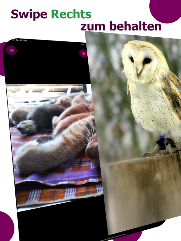 Screenshot #5 pour Swipe2Wipe