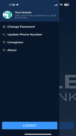 Scale Bank EDM screenshot 4