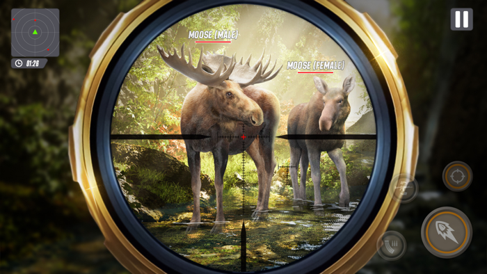 The Hunter Deer Hunting Games