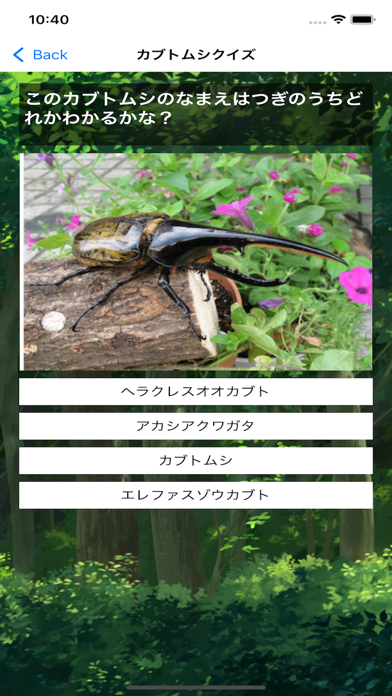 カブトムシ・クワガタムシクイズ 昆虫図鑑のおすすめ画像3