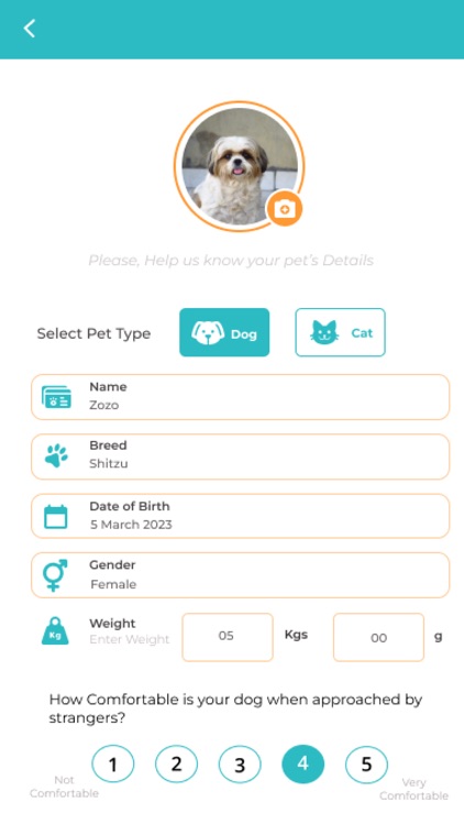 Pettik